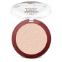 Пудра для обличчя Golden Rose Smooth Finish 207