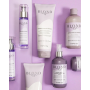 Маска для волосся відтінків блонд Inebrya blondesse blonde miracle nectar 1000 мл
