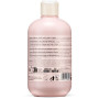 Шампунь для сухого, кучерявого та фарбованого волосся Inebrya dry-t shampoo 300 мл