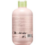 Шампунь для частого використання Inebrya frequent daily shampoo 300 мл