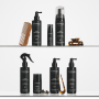 Амінокислотний спрей для прикореневого об’єму та створення текстури Triology Hair Architect, 200 мл