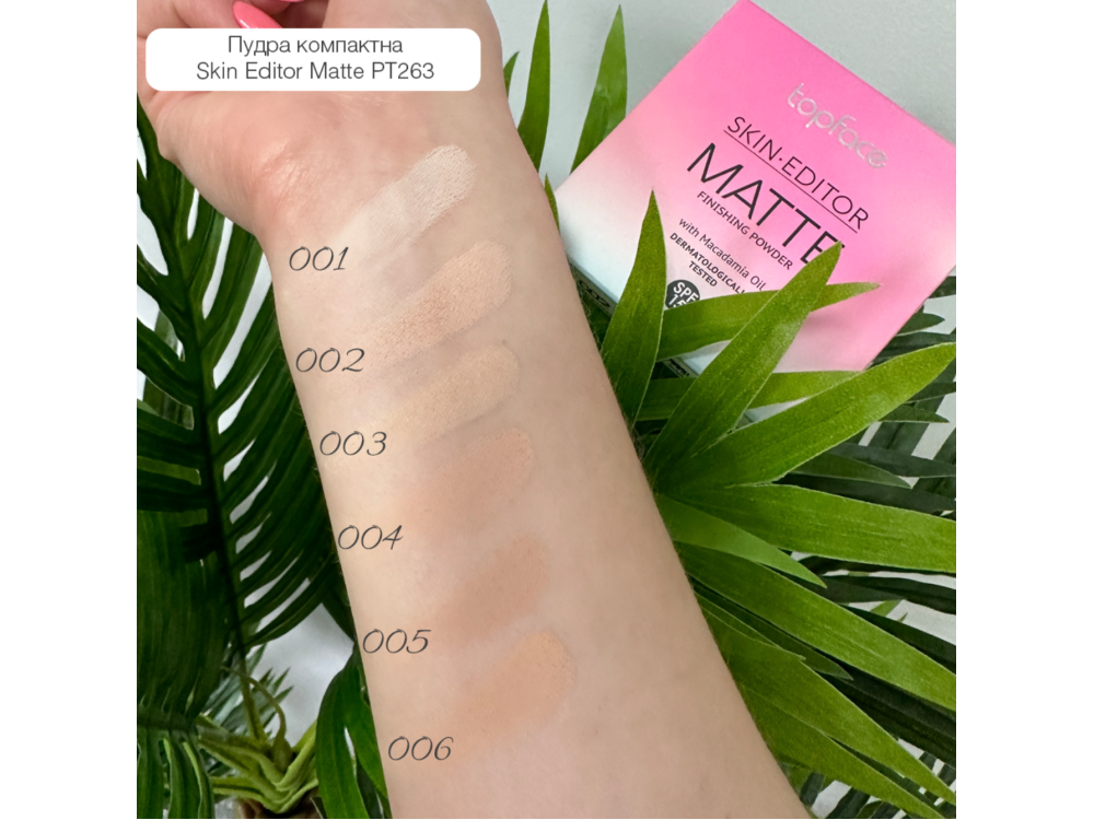 Матувальна компактна пудра для обличчя Topface Skin Editor Matte Finishing Powder PT263 06 