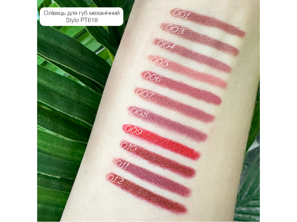 Водостійкий олівець для губ Topface Waterproof Stylo Lipliner PT618 002 